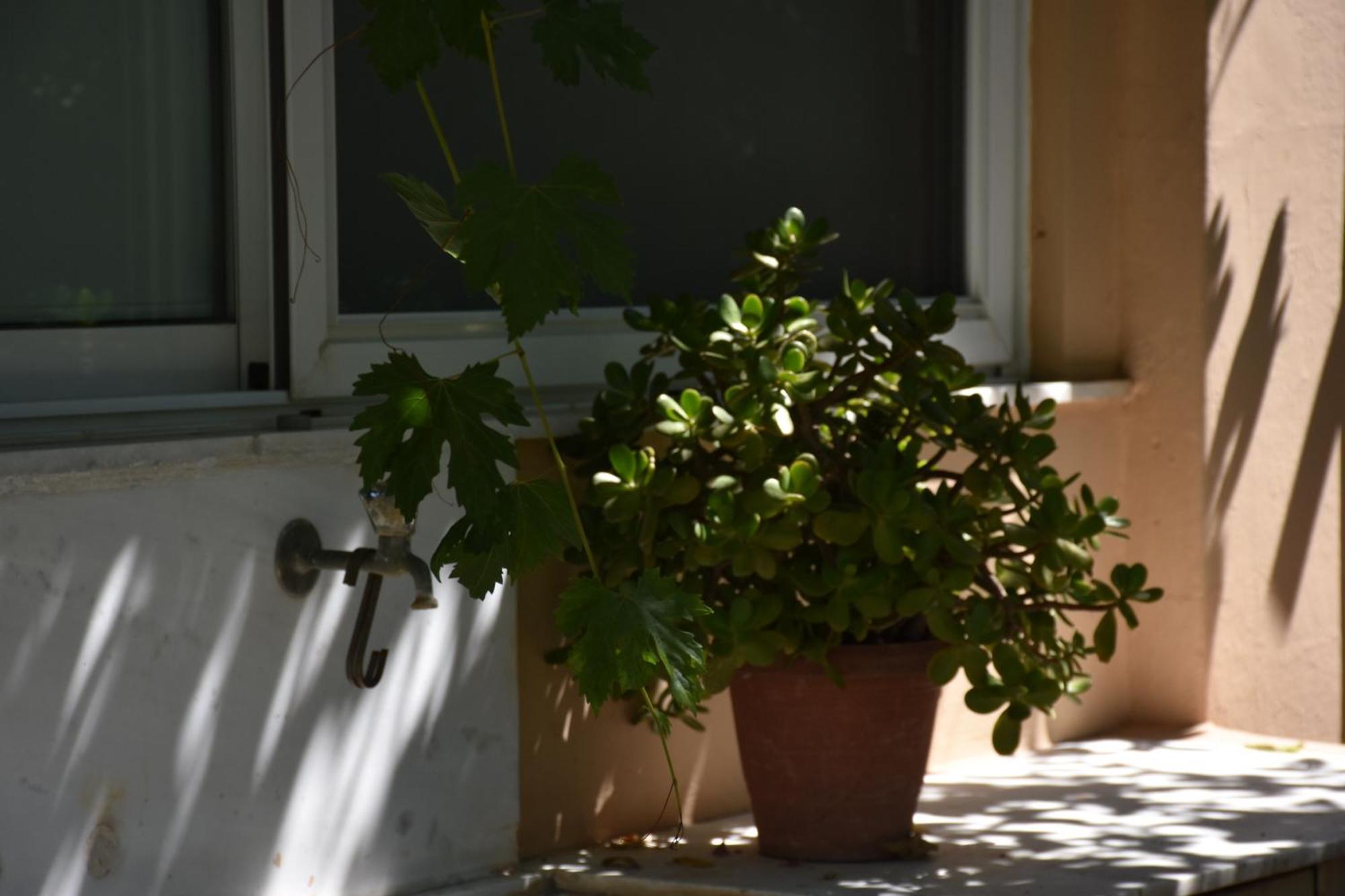 Villa Gerani Gerani  エクステリア 写真